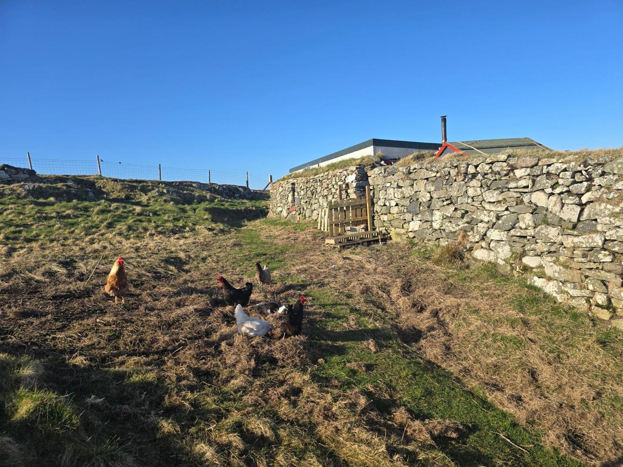 Squealing Pig Bothy Villa Barvas Exteriör bild